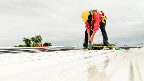 Best Storm Damage Roof Repair  in Reedurban, OH